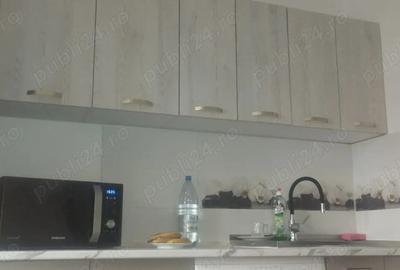 Garsonieră semidecomandată în Nufărul - 2