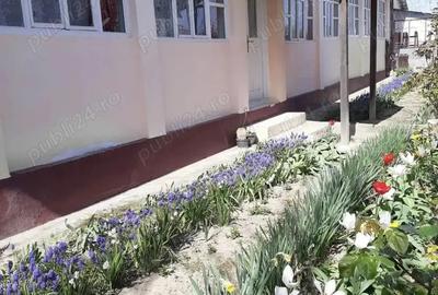 Casa de vanzare in Cebza - 3