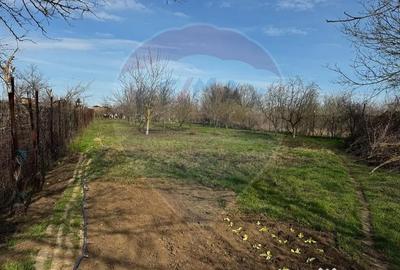 Casă cu 5 camere cu Piscina în Central - 2