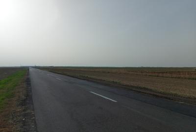 Teren agricol 50000m2 Silistea soseaua Focsani - 50000MP - 2