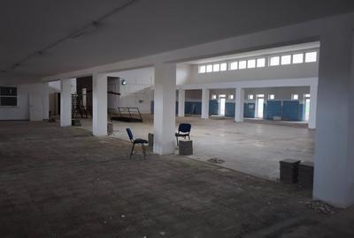 Spațiu industrial, de 3,000 mp, în Petea - 3