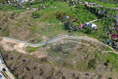 Teren 635mp Baia Mare / Strada Fragilor cu vedere panoramica - 3