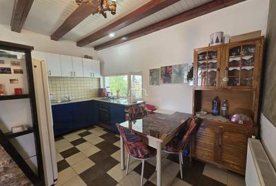 Casa cu piscina, 3450 Mp suprafata teren, Albesti, Mures - 13