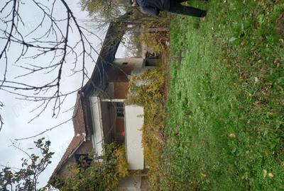 Vand casa in localitatea Scorusu,5 km distanta de Turceni,3 camere plus baie ?i bucatarie, livada cu - 1