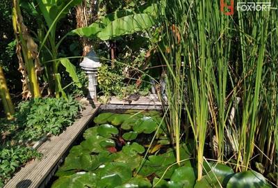 OCAZIE COMISION 0% - Vanzare Casa individuala, 530 mp, in Timisoara OCAZIE COMISION 0% - Vanzare Casa individuala, 530 mp, in Timisoara - 8