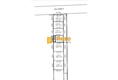 CHITILA, DRUM NATIONAL 7 SABARENI, PADURE - 4