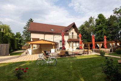 Proprietate speciala de 340mp de vanzare - 45