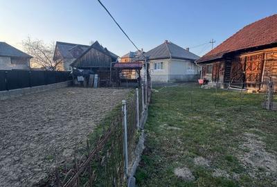 Casă cu 3 camere cu Teren 4000 Mp în Central - 2