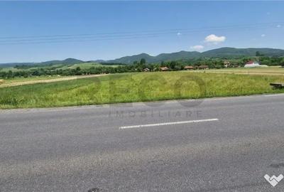 Teren de 2900 mp, în Borod - 5