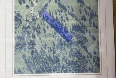 Teren 5000 mp Saru Dornei - 2