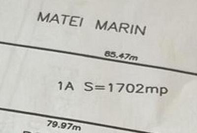 Teren Bolintin Deal 2000 mp New 2026 - 4