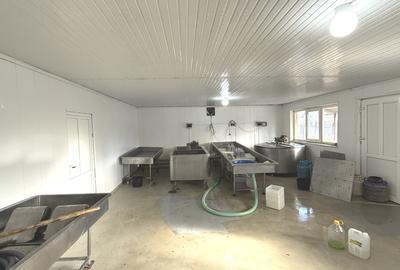 Fabrica de productie branzeturi, Business functional, 25 de ani activitate - 6