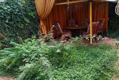 Floreasca! - 2