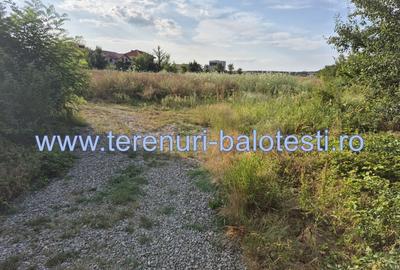 Teren ieftin la liziera padurii Balotesti, 350mp - 30