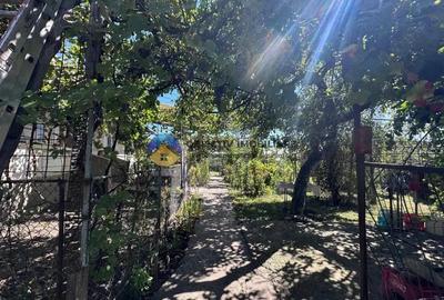 Casă cu 3 camere cu Teren 6817 Mp în Zănești - 3