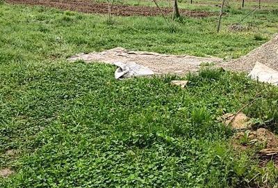 Spațiu comercial, în Oituz - 1