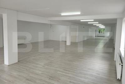 Spatiu comercial, 250 mp, zona Someseni