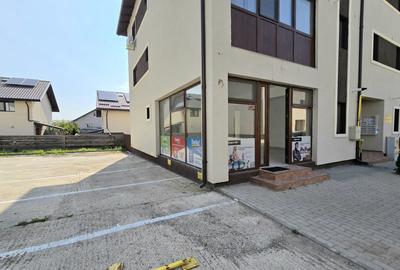 Spațiu comercial, de 64 mp, în Lunca Cetățuii - 1