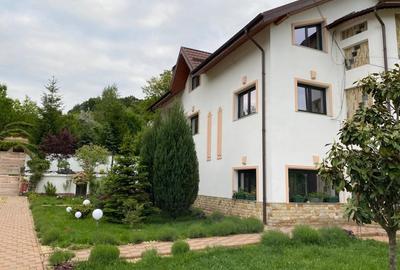 Domeniu de vanzare, Baile Govora(Pausesti-Otasau) cu teren de 20875mp - 2