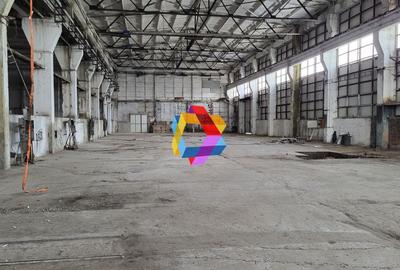 Hala - 1137 mp  # plus-imo.ro - 1