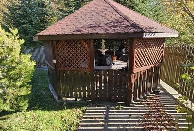 Vila 7 camere 320 mp- Valea Neagra-Prahova, mobilata/utilata complet! - 29