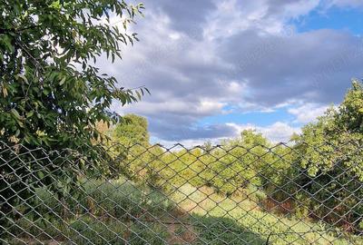 Vand casa la tara cu livada - 3