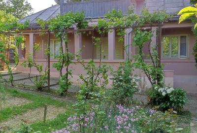 Casă cu 3 camere în Parava - 7