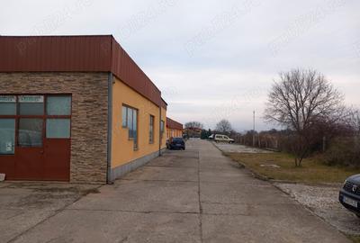 Spațiu comercial, de 4,800 mp, în Sântuhalm - 4