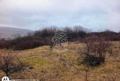 Spațiu comercial, în Chinteni - 3
