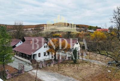 Oportunitate investitie: două reședințe de vacanță/ cabane 3940mp teren - 9