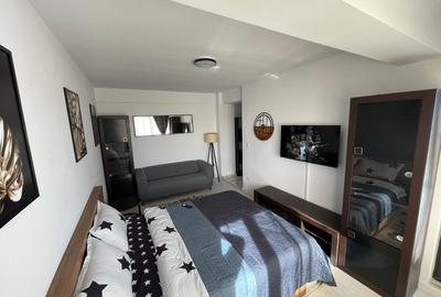 Apartament modern cu 1 camera Visan - 4