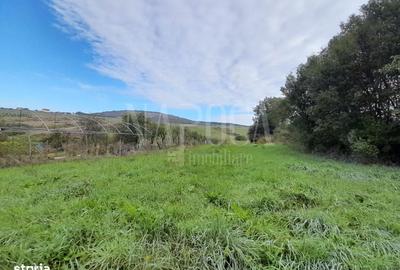 Spațiu comercial, în Central