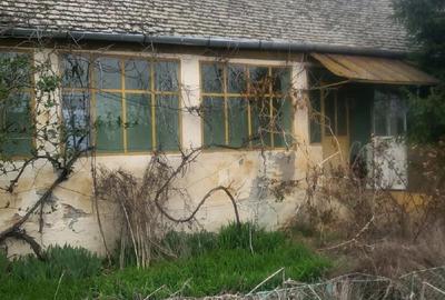 Casă cu Teren 3000 Mp în Checea - 2