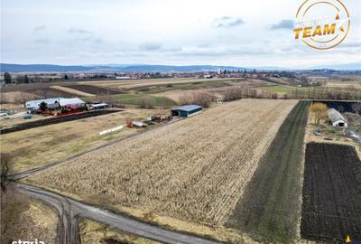 Spațiu comercial, în Dobolii de Jos - 5