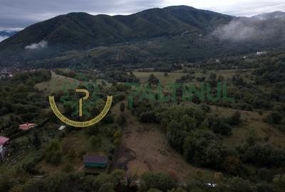 Teren Construcții intravilan de 960 mp, în Cisnădioara - 17