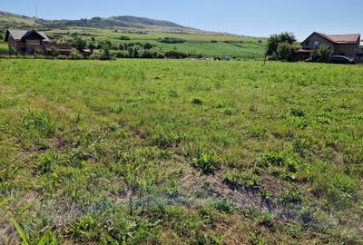 Teren de 5000 mp, în Sântana de Mureș - 1
