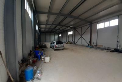 Afumati, deschidere la DN2,  hale suprafata 580 mp - 3