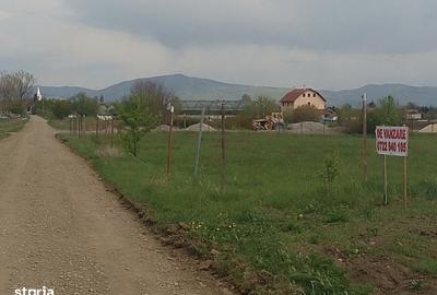 Teren de 47700 mp, în Ilieni - 2