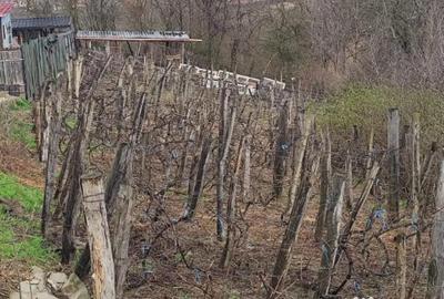 Teren în Măgura - 1