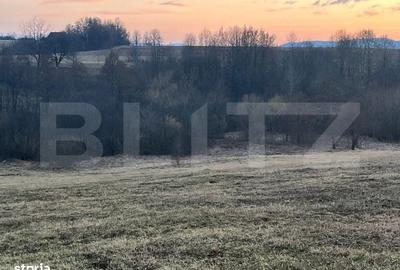 Spațiu comercial, în Marginea - 2