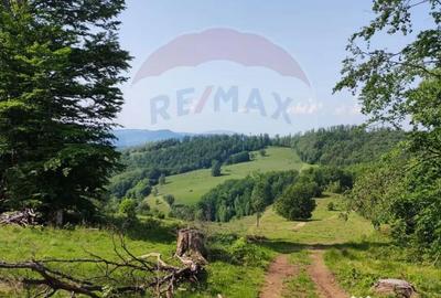 Teren de 128948 mp, în Munteni - 6