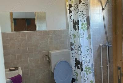 Casă cu 3 camere în Dunărea - 2