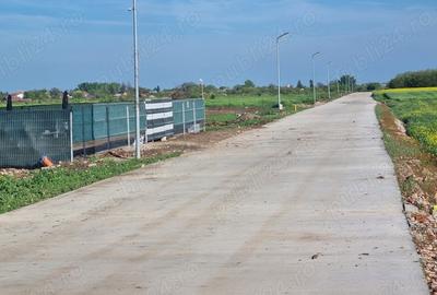 Teren de 600 mp, în Frumușani - 9