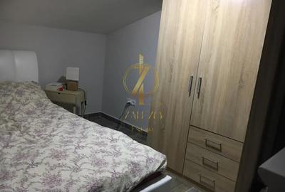 Apartament cu 2 camere decomandat, mobilat în Mehala - 8