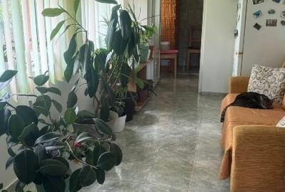 Casa solida din beton si caramida, complet utilata - 3