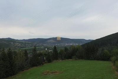 Teren de 5023 mp, în Voroneț - 13