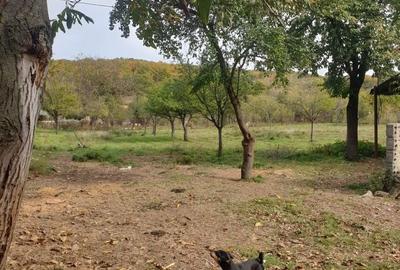 Casă cu 2 camere în Balotești - 4