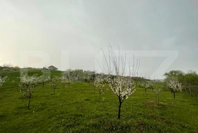 Teren de 4447 mp, în Central - 2
