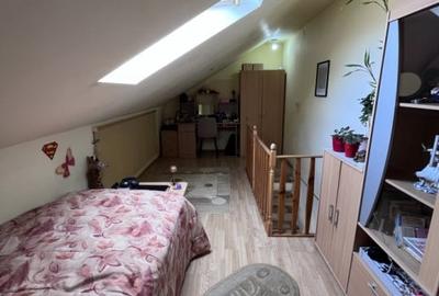 Mansarda cocheta pe doua niveluri, in cartierul Terezian - Sibiu - 9