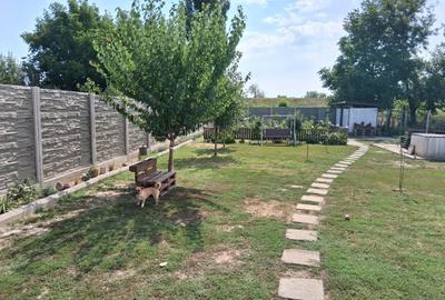 Sanmihaiul Roman - Casa individuala cu 3 dormitoare, complet mobilata si utilata - 17